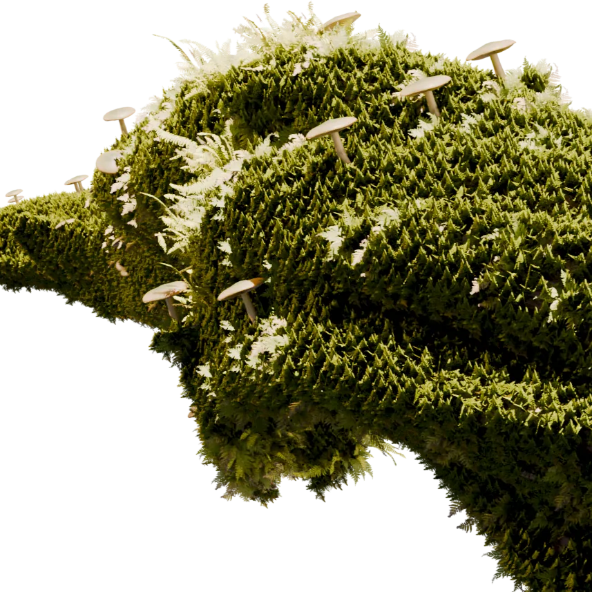 Mushroom Growth — render