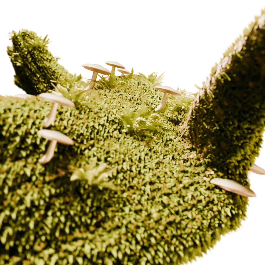 Mushroom Growth — render