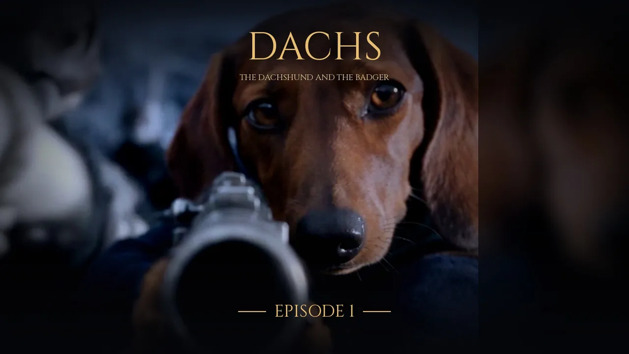 DACHS · Episode 1 — cover