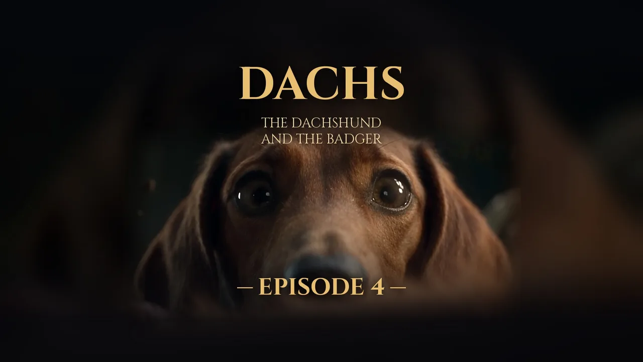 DACHS · Episode 4 — cover